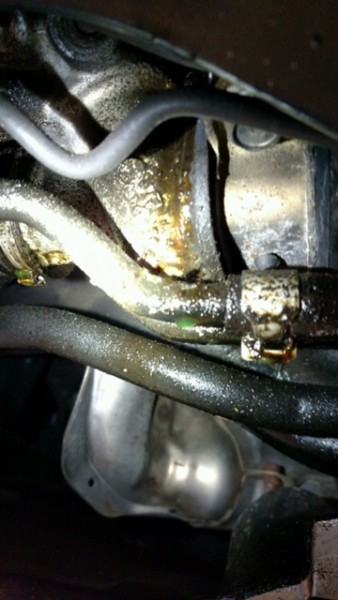 The green liquid is coolant leaking from the Head Gasket